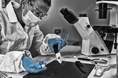 unique problems encountered analyzing forensic evidence vs laboratory standards|quality of forensic science.